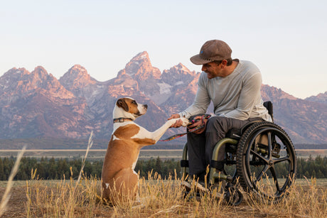 Fixed Frame vs Folding Wheelchairs: Which is Right for You?