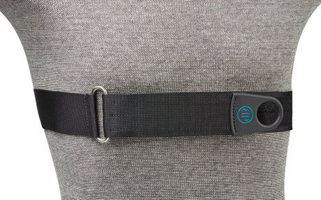 Bodypoint Chest Belt 2"