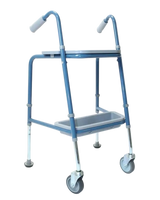 Duo Walking Trolley
