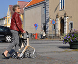 Let's Fly Rollator